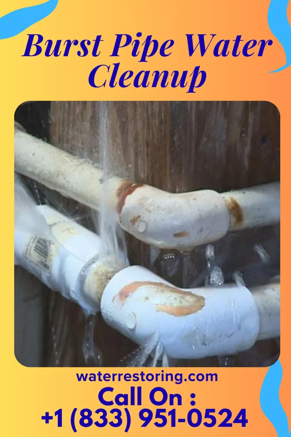 Burst Pipe Water Cleanup in Prestonsburg, KY